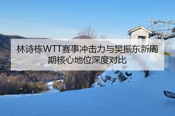 林诗栋WTT赛事冲击力与樊振东新周期核心地位深度对比