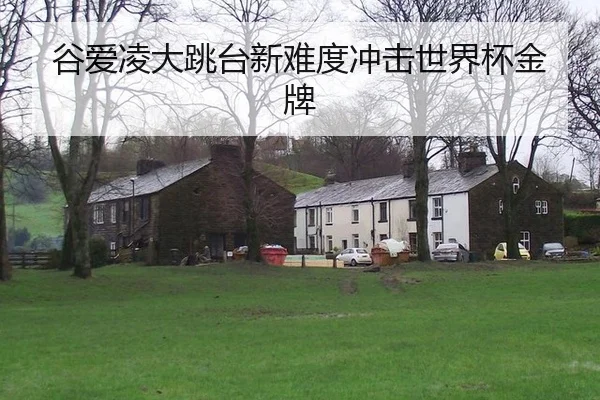 谷爱凌大跳台新难度冲击世界杯金牌