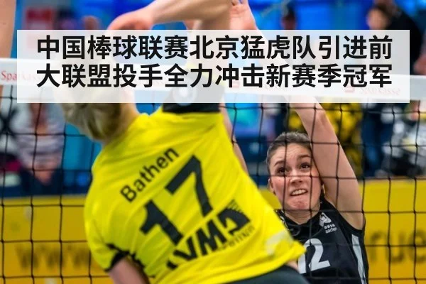 中国棒球联赛北京猛虎队引进前大联盟投手全力冲击新赛季冠军